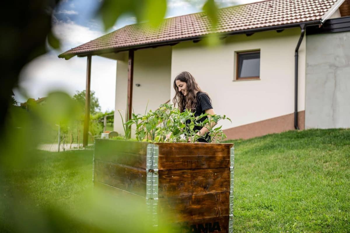 Holiday House Zlacka Gorca Pristava pri Mestinju Exteriör bild